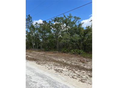 Ready to build that dream home? NO HOA! This is the perfect lot - photo 5