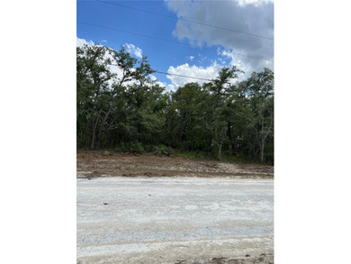 Ready to build that dream home? NO HOA! This is the perfect lot - photo 6
