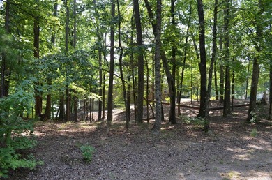 Lake Balboa Lot For Sale in Hot Springs Village Arkansas