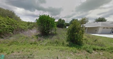 Lake Lot For Sale in Other City - In The State Of Florida, Florida