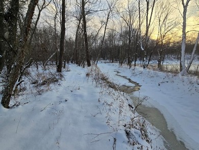 20 acres MOL for sale. Heavily wooded with pond. Located - photo 2