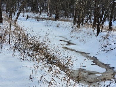 20 acres MOL for sale. Heavily wooded with pond. Located - photo 4