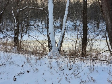 20 acres MOL for sale. Heavily wooded with pond. Located - photo 6