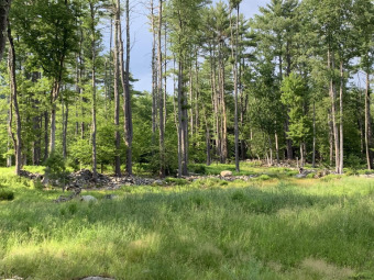 (private lake, pond, creek) Lot For Sale in Stephentown New York