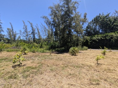 Rare opportunity to own over a half-acre of improved land just - photo 11