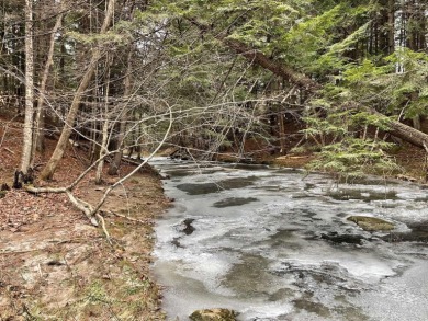 (private lake, pond, creek) Acreage For Sale in Windham Maine