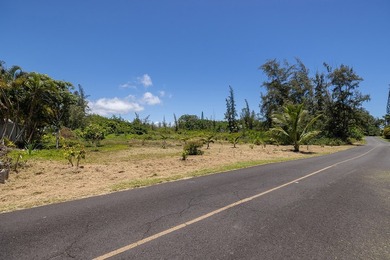 Rare opportunity to own over a half-acre of improved land just - photo 12