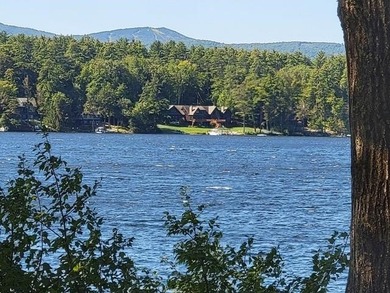 Have you been dreaming of lakefront living? Welcome to 74 - photo 13