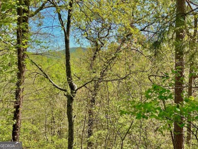 Lake Lot For Sale in Ranger, Georgia