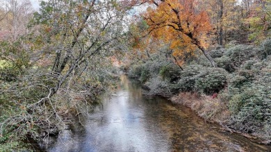 (private lake, pond, creek) Lot For Sale in Ellijay Georgia