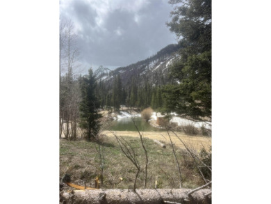 (private lake, pond, creek) Lot For Sale in Taos Ski Valley New Mexico