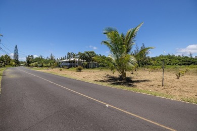 Rare opportunity to own over a half-acre of improved land just - photo 14