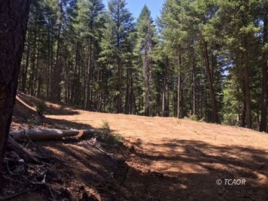 Trinity Lake / Clair Engle Lake Acreage For Sale in Trinity Lake Forest California