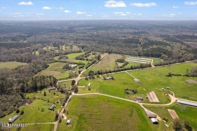 (private lake, pond, creek) Acreage For Sale in Mendenhall Mississippi