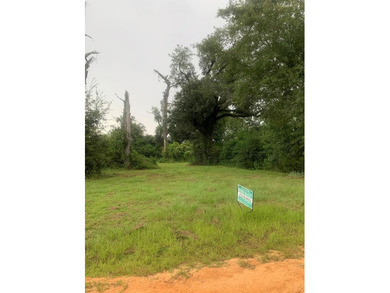 Lake Seminole Lot For Sale in Donalsonville Georgia