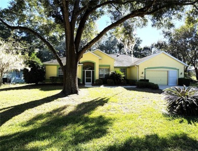 (private lake, pond, creek) Home For Sale in Dunnellon Florida