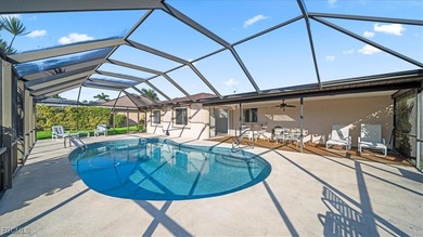 LIKE New Construction but cheaper, Modern Pool And Gulf Accesses - photo 25