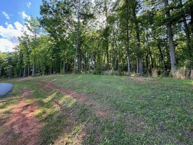 Lake Lot For Sale in Blairsville, Georgia