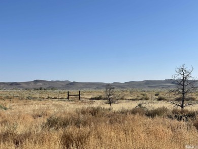 Lake Acreage For Sale in Silver Springs, Nevada