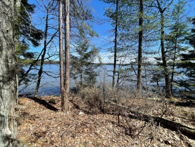 Lake Acreage For Sale in Lac du Flambeau, Wisconsin