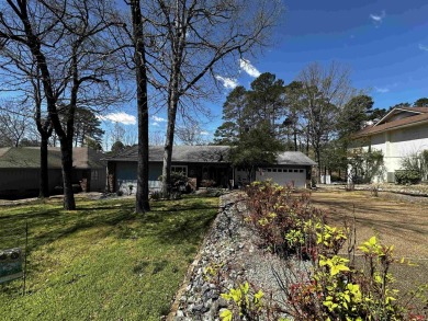 (private lake, pond, creek) Home For Sale in Hot Springs Village Arkansas