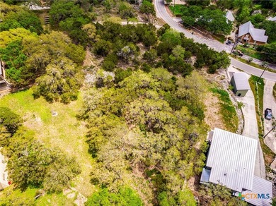 Rare opportunity to own over .3 acres of raw land with abundant - photo 9