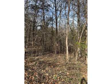 Lake Taneycomo Lot For Sale in Merriam Woods Missouri