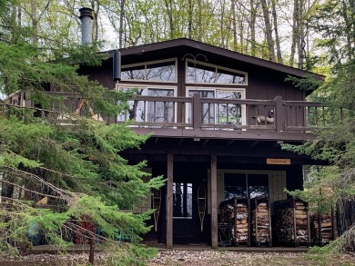 Lake Home For Sale in Presque Isle, Wisconsin