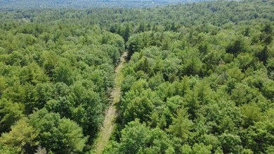 Escape to the peace and beauty of Otisfield with this 15.4-acre - photo 11