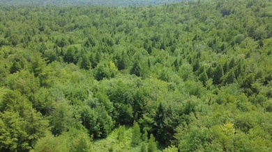 Escape to the peace and beauty of Otisfield with this 15.4-acre - photo 12