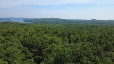 Escape to the peace and beauty of Otisfield with this 15.4-acre - photo 14