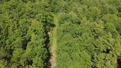 Escape to the peace and beauty of Otisfield with this 15.4-acre - photo 18