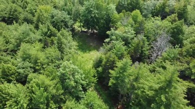 Escape to the peace and beauty of Otisfield with this 15.4-acre - photo 20