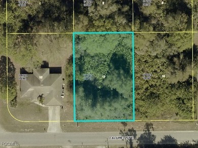 Lehigh Acres Area Lot For Sale in Lehigh Acres Florida