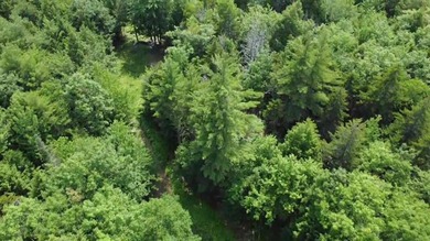 Escape to the peace and beauty of Otisfield with this 15.4-acre - photo 21