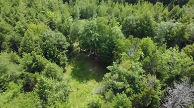 Escape to the peace and beauty of Otisfield with this 15.4-acre - photo 22