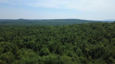 Escape to the peace and beauty of Otisfield with this 15.4-acre - photo 24