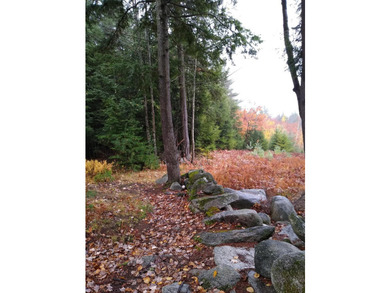 Escape to the peace and beauty of Otisfield with this 15.4-acre - photo 29