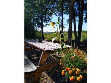Escape to the peace and beauty of Otisfield with this 15.4-acre - photo 30