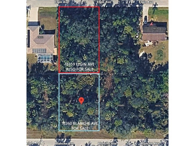 Port Charlotte Waterway Area Lot For Sale in Port Charlotte Florida