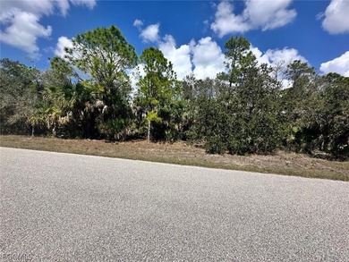 Take the opportunity to secure a 1/4 ACRE (quarter acre) lot in - photo 2