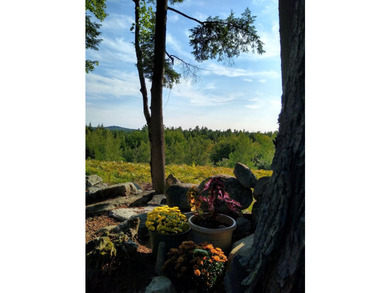 Escape to the peace and beauty of Otisfield with this 15.4-acre - photo 32