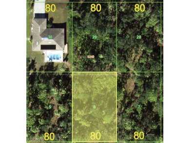 Take the opportunity to secure a 1/4 ACRE (quarter acre) lot in - photo 4
