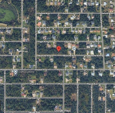 Take the opportunity to secure a 1/4 ACRE (quarter acre) lot in - photo 5