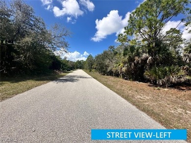 Take the opportunity to secure a 1/4 ACRE (quarter acre) lot in - photo 8