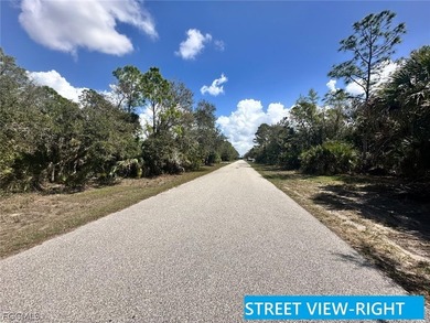 Take the opportunity to secure a 1/4 ACRE (quarter acre) lot in - photo 9