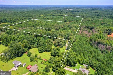 (private lake, pond, creek) Acreage For Sale in Newnan Georgia
