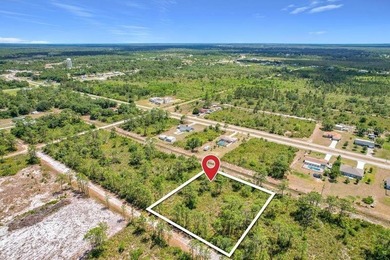 Lake Weohyakapka Lot For Sale in Indian Lake Estates Florida