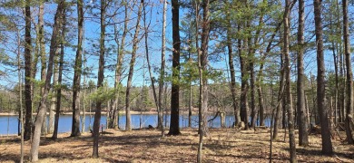 Lake Lot For Sale in Arbor Vitae, Wisconsin