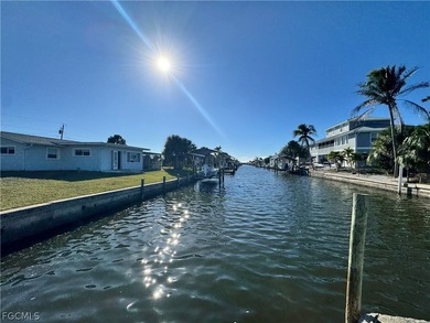 Pirate Harbor ! Beautifully remodeled 3-bedroom, 2-bath - photo 1